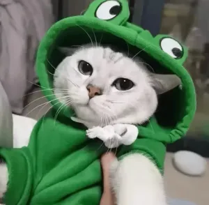Autumn Winter Cat & Dog Hoodies - Cute Frog-Shaped Fleece for Small Pets
