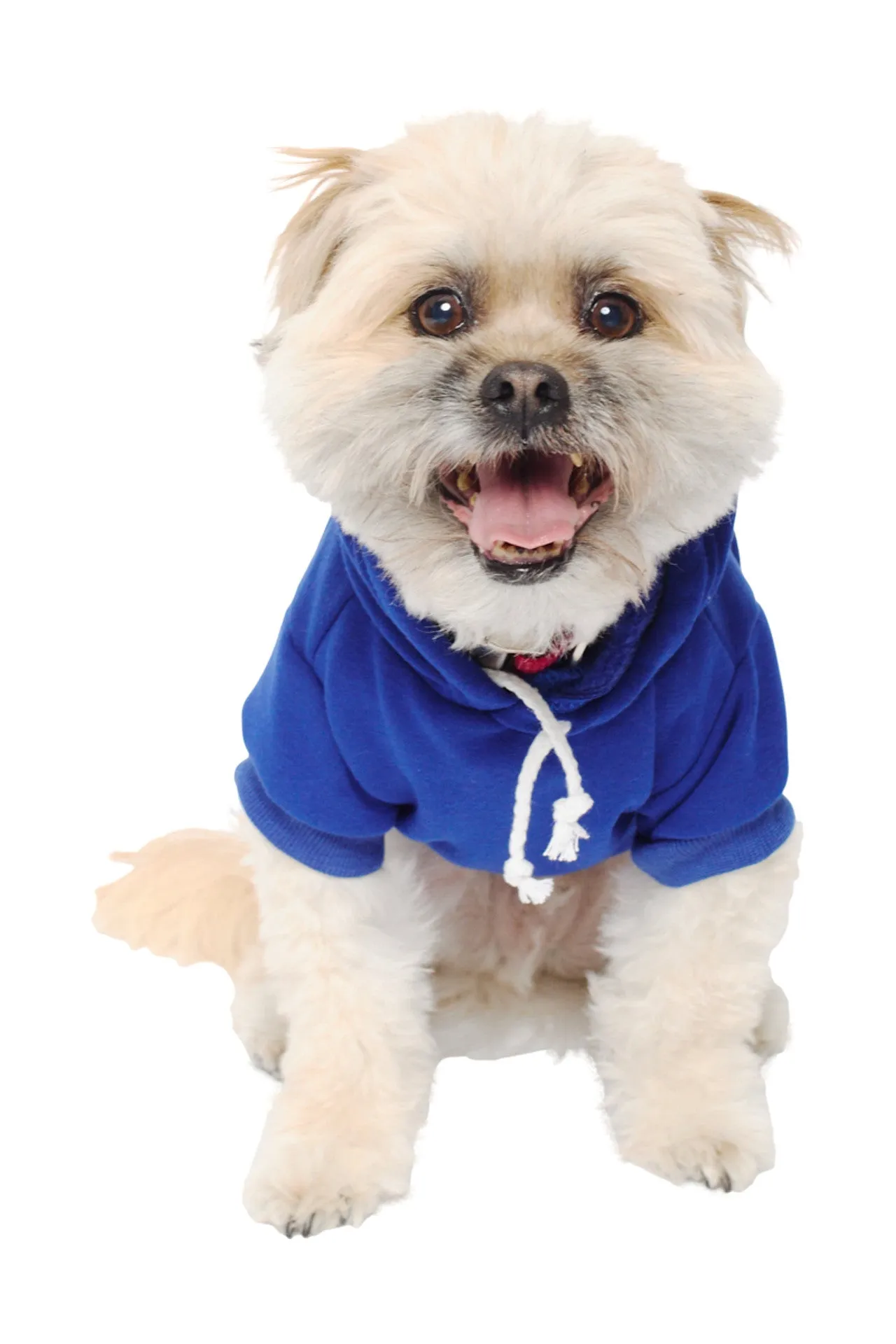 Blue Dog Hoodie w/Yellow/Blue Logo Patch