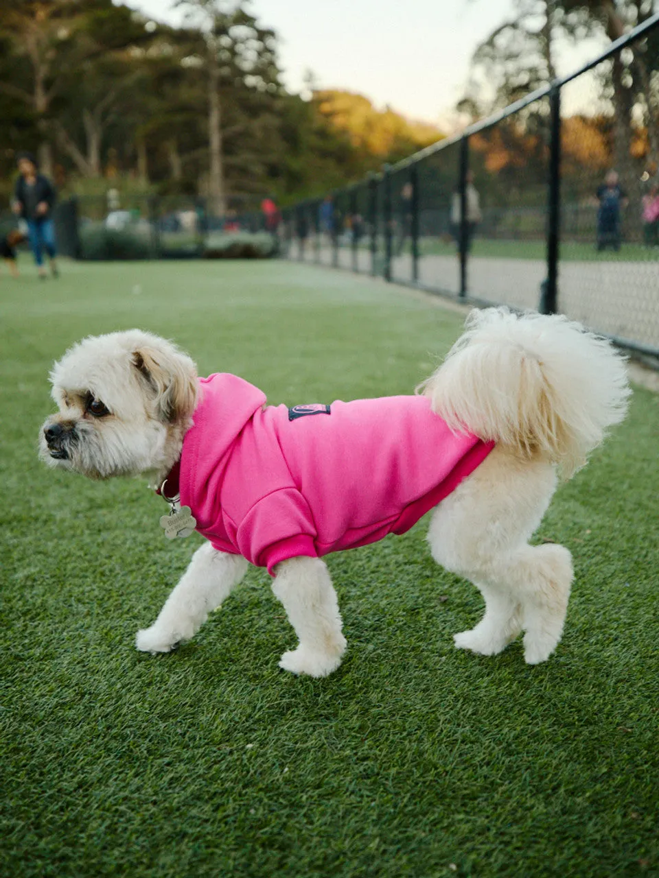 Pink Dog Hoodie w/Black/Pink Logo Patch