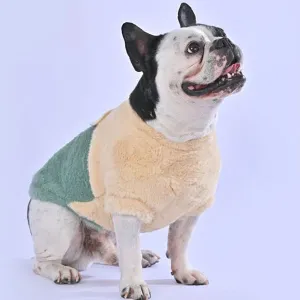 Stylia™ - Frenchie Stylish Sweater (WL06)