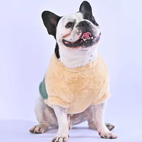 Stylia™ - Frenchie Stylish Sweater (WL06)